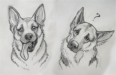 Pin by Songorita on Animals | Dog sketch, Art drawings sketches, Dog ...