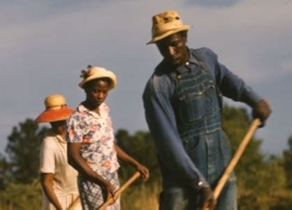 Language of the Blues: SHARECROPPING - American Blues Scene
