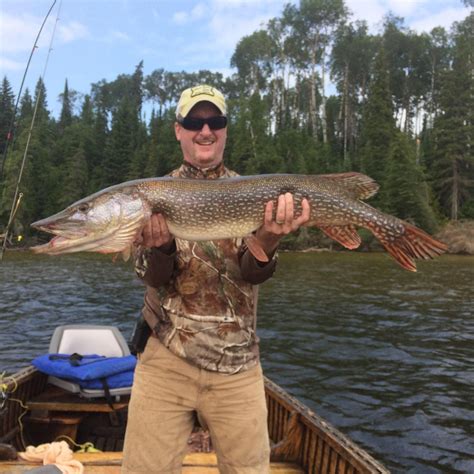 Lodge Eighty Eight - White River Ontario - Fishing Lodge - FISHING