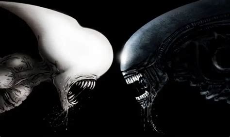 Exclusive: Xenomorph vs. Neomorph Alien: Covenant deleted scene confirmed!