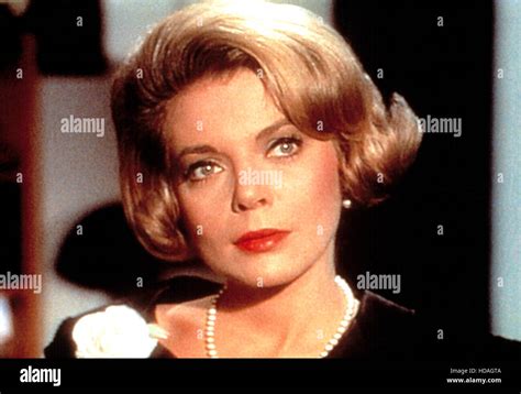 MISSION: IMPOSSIBLE, Barbara Bain, 1966-73 Stock Photo - Alamy