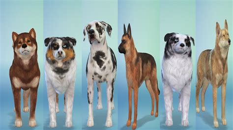 IMPROVED DOGBREEDS | Sims 4! | ALL DOWNLOADABLE - YouTube