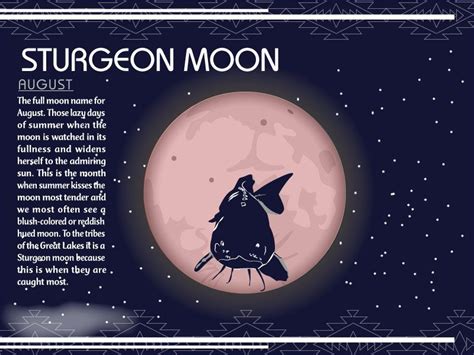 an illustration of a bird sitting on top of a moon with the caption surgeon moon