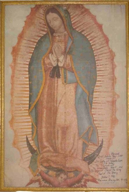 Our Lady's image on the Tilma | Our Lady of Guadalupe | Constellations ...