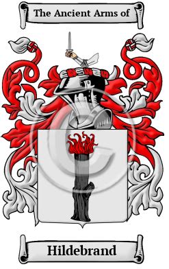 Hildebrand Name Meaning, Family History, Family Crest & Coats of Arms