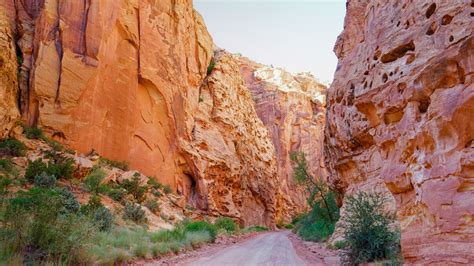 What Is So Special About Capitol Reef National Park - Getaway Couple