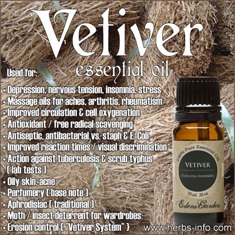 Pin by Jenni Wingate-Wigal on Oils as in essential and other healthy beauty tips. | Vetiver ...