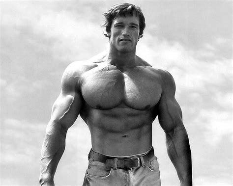 Arnold Bodybuilding Wallpaper