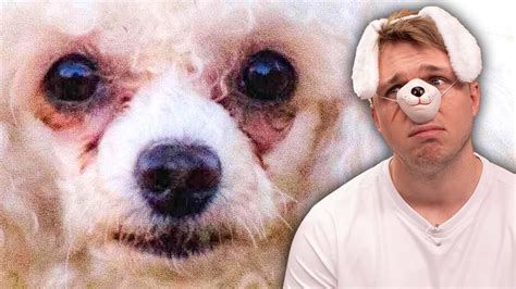 White Crusty Dogs Should Be Illegal - YouTube