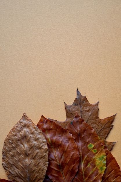 Premium Photo | Brown leaves with autumn colors on the orange background