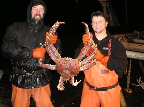 Follow the fishermen catch giant king crab in Alaska ~ LOVE NATURE 24H