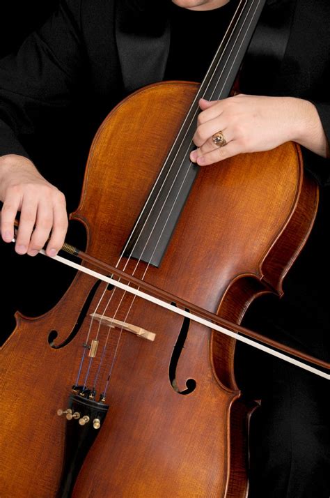 Pessoa Tocando Violoncelo · Foto profissional gratuita