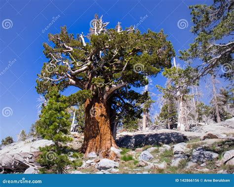 Hiking in Desolation Wilderness Near Lake Tahoe Stock Photo - Image of battered, scenic: 142866156