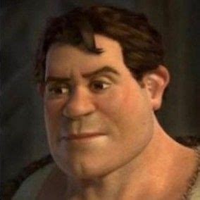 Human Shrek | Shrek, Human, Cartoon crossovers