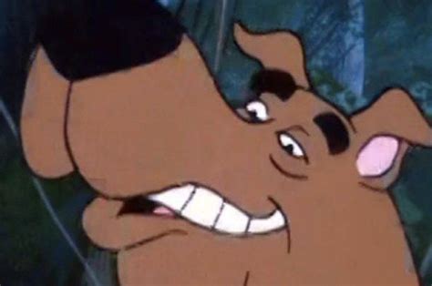 16 Scooby-Doo Faces Everyone Will Recognize | Scooby doo images, Scooby ...