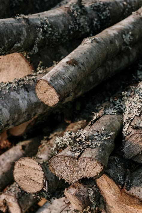 Brown and Black Wood Logs · Free Stock Photo