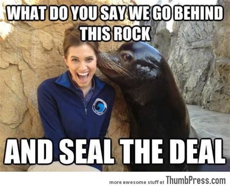 Seal the deal