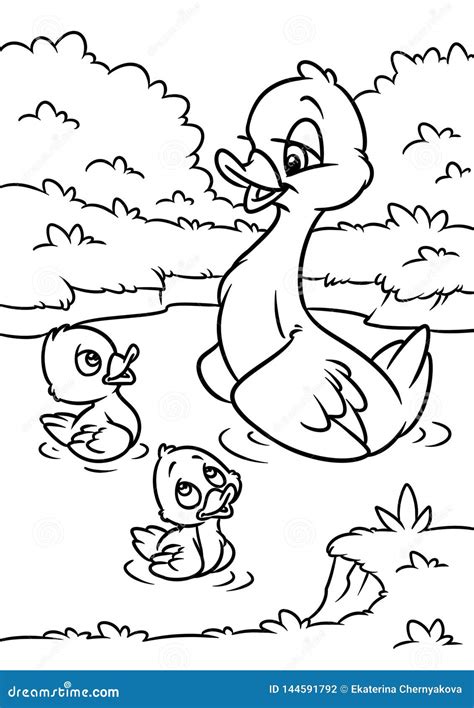 Duck Mother Little Ducklings Cartoon Illustration Coloring Page Stock ...