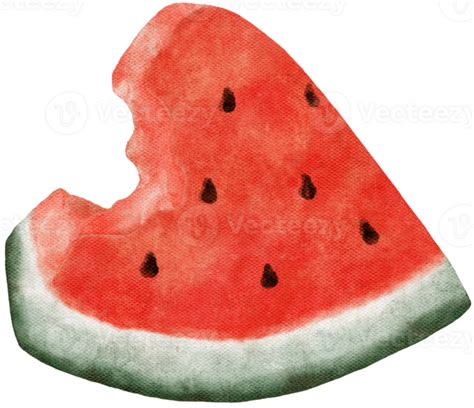 Watermelon piece juicy - bright summer treat. Watercolor illustration of a watermelon slice ...