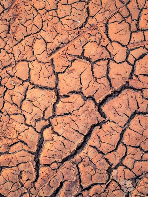 Crack Soil Dry Free Stock Photo - Public Domain Pictures