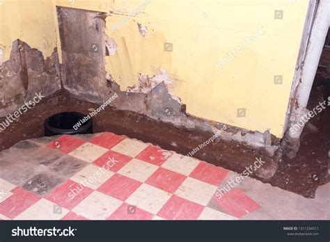 Open French Drain Pit Sump Pump Stock Photo 1311334511 | Shutterstock