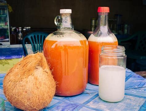 Discover Tuba: The Exquisite Coconut Wine of the Philippines