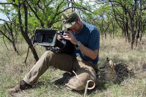 Big Cats documentary reveals amazing survival story of species that has ...