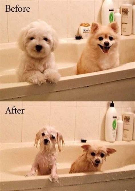 Funny Before And After Photos | Memolition