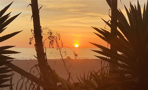 Santa Monica Beach sunset : r/pics