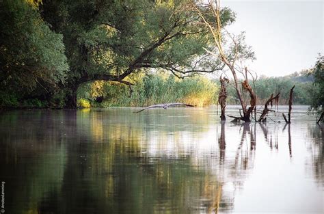 Danube Delta, Romania | Danube delta, Romania, Danube