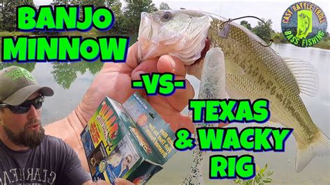 BANJO Minnow Vs. Modern RIGS (Wacky & Texas) Bass Fishing - YouTube