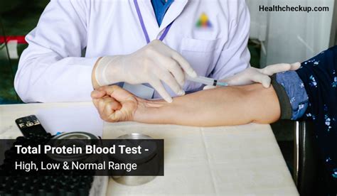 Total Protein Blood Test- High, Low & Normal Range