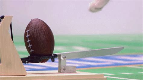 Football Cats GIF by Hallmark Channel - Find & Share on GIPHY