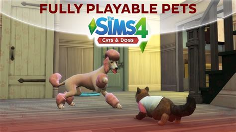 FULLY PLAYABLE PETS MOD / The Sims 4 Cats & Dogs - YouTube