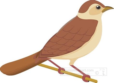 Bird Clipart-Nightingale Bird Clipart