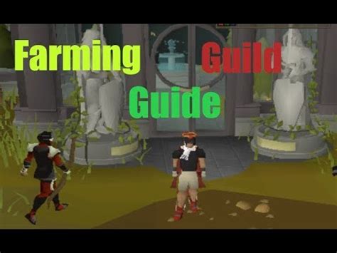 [OSRS] In-Depth Farming Guild And Farming Contract Guide - YouTube