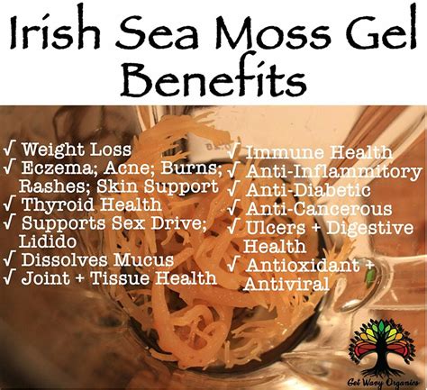 Sea Moss Gel Health Benefits & Warning – Eat Algae