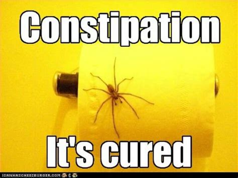 Constipation problems? | Funny jokes, Funny pictures, Jokes