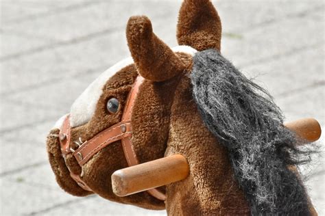 Free picture: horse, mascot, plush, toy, funny, cute, fun, outdoors, brown, detail