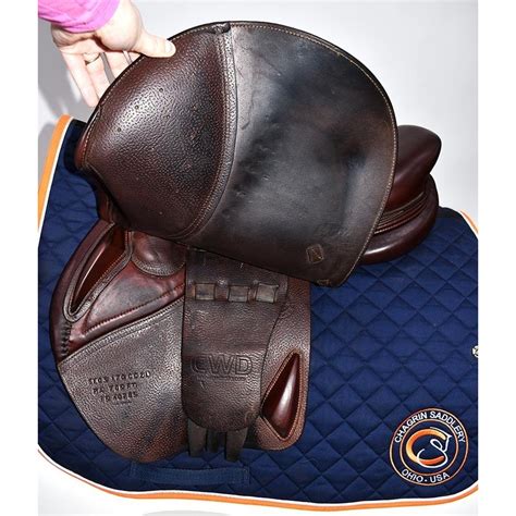 CWD 17IN CWD Saddle Medium Wide Tree 2015 Jumping Close-Contact at Chagrin Saddlery Main