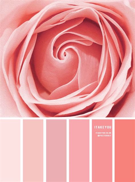 Color Inspiration : Rose Pink Tones | Color palette pink, Color palette ...