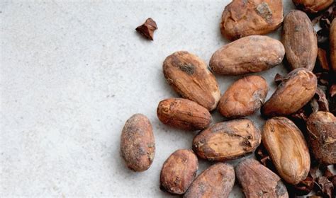 What Are Cocoa Beans? - Whitakers Chocolates | Our BlogWhitakers Chocolates | Our Blog