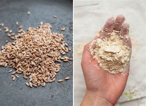 100% whole grain einkorn wheat sourdough bread | My Daily Sourdough Bread