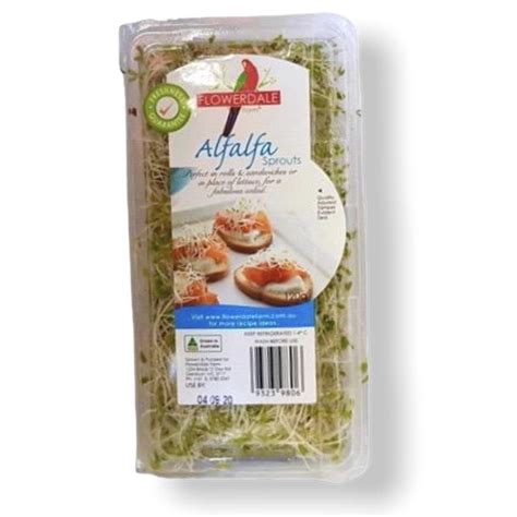 Alfalfa Sprouts - Plain Punnet