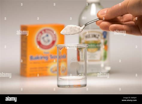 Chemical Reaction of Baking Soda (sodium bicarbonate) and Vinegar Stock Photo, Royalty Free ...