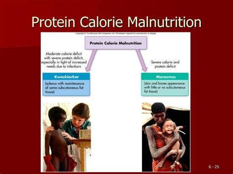 PPT - Proteins PowerPoint Presentation, free download - ID:40091