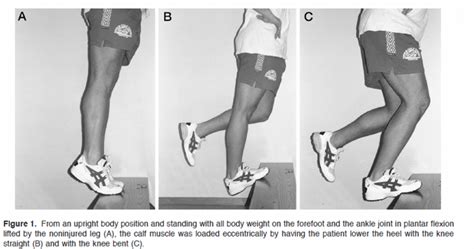 How to: Achilles Tendon Rehab Part 1 |The Long Run Australia