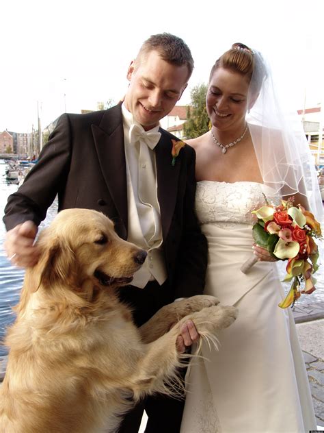 7 Tips For A Dog-Friendly Wedding | HuffPost