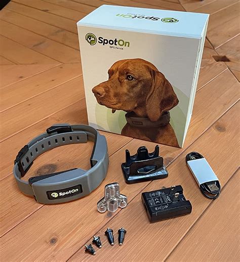 Review: SpotOn GPS Dog Fence By Spot On | My Little & Large Pet Market