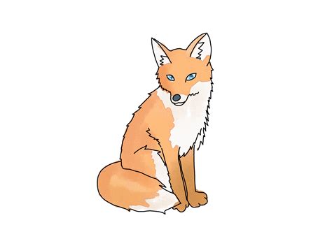 Fox Animal Drawing